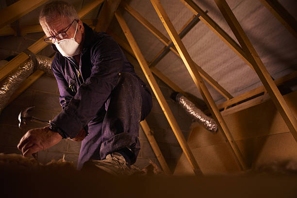 Types of Insulation We Offer in Gueydan, LA